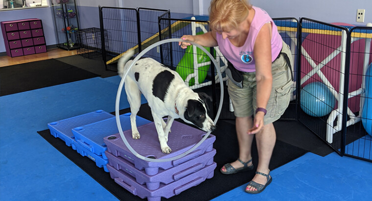 Tricks: Class 1 to 4