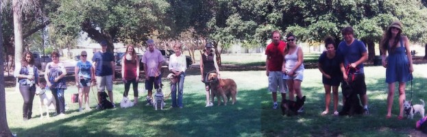 How To Pick A Dog Training Class